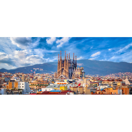 One-Day Tour of Barcelona City Center